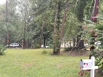 Storm damage fallen trees